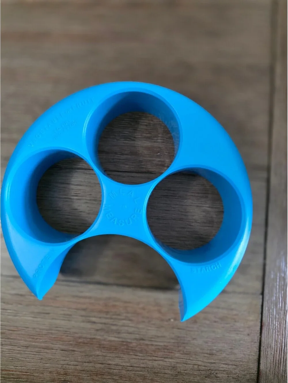 Meal Measure Blue Plastic Portion Control Food Divider